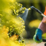 Agricultural Pesticides